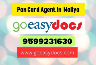 Pan Card Agent Consultant in Maliya 8851415812