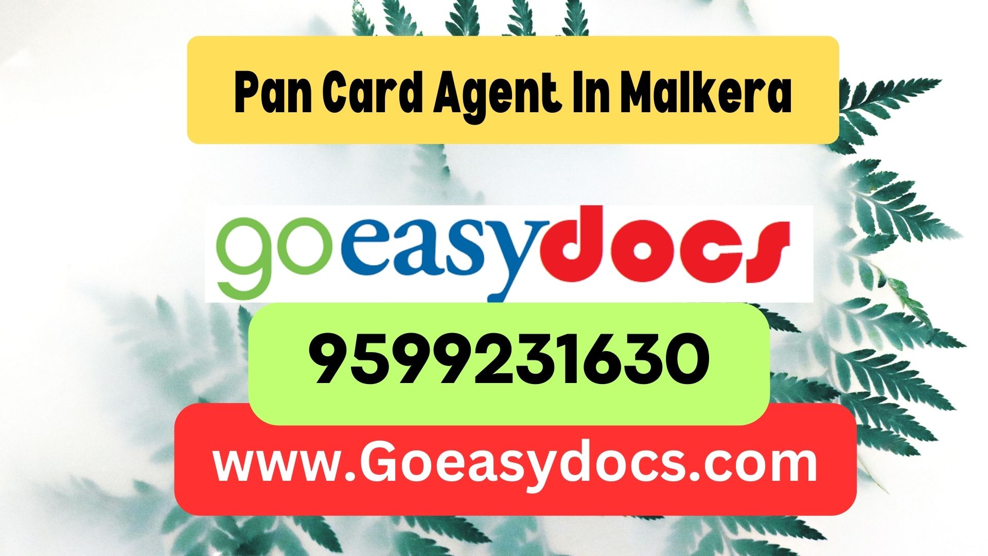 Pan Card Agent Consultant in Malkera 8851415812