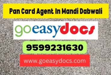 Pan Card Agent Consultant in Mandi Dabwali 8851415812