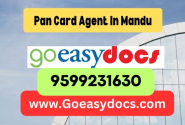 Pan Card Agent Consultant in Mandu 8851415812