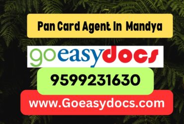 Pan Card Agent Consultant in Mandya 8851415812