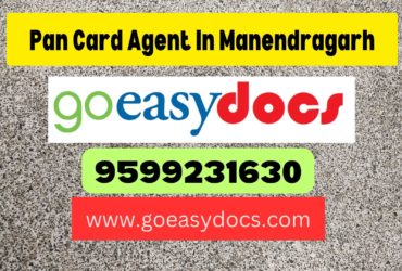 Pan Card Agent Consultant in Manendragarh 8851415812