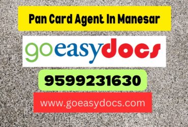 Pan Card Agent Consultant in Manesar 8851415812