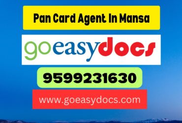 Pan Card Agent Consultant in Mansa 8851415812