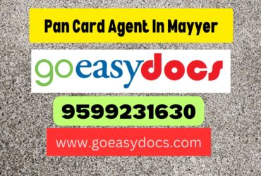 Pan Card Agent Consultant in Mayyer 8851415812