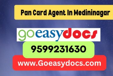 Pan Card Agent Consultant in Medininagar  8851415812