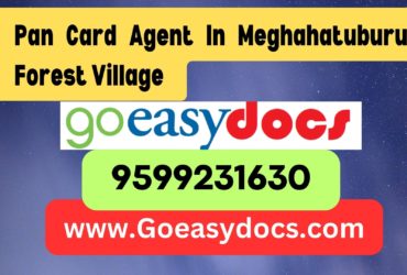 Pan Card Agent Consultant in Meghahatuburu Forest Village 8851415812