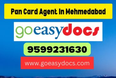 Pan Card Agent Consultant in Mehmedabad 8851415812