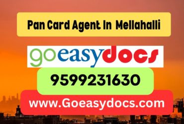 Pan Card Agent Consultant in Mellahalli 8851415812