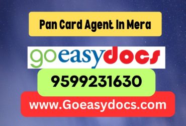 Pan Card Agent Consultant in Mera 8851415812