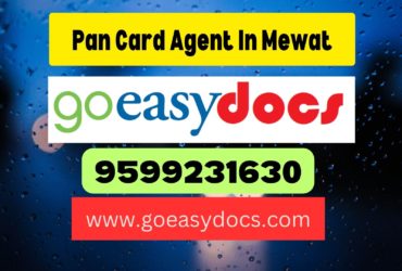 Pan Card Agent Consultant in Mewat 8851415812