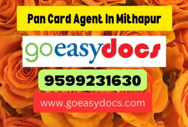 Pan Card Agent Consultant in Mithapur 8851415812