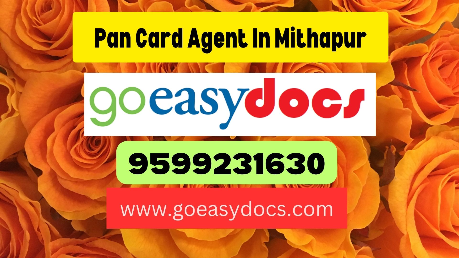 Pan Card Agent Consultant in Mithapur 8851415812