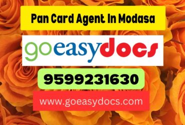 Pan Card Agent Consultant in Modasa 8851415812