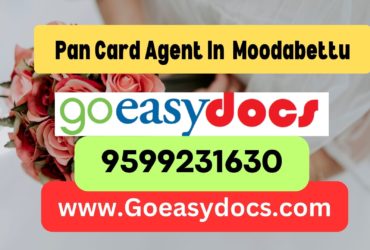 Pan Card Agent Consultant in Moodabettu 8851415812