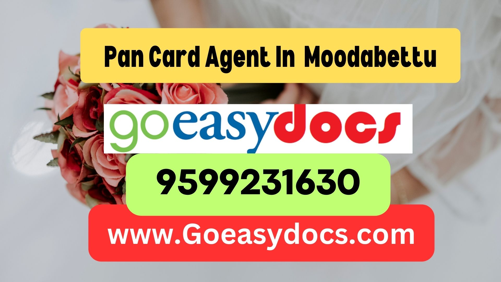 Pan Card Agent Consultant in Moodabettu 8851415812