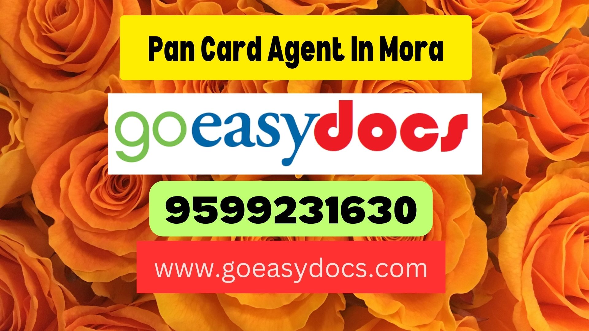 Pan Card Agent Consultant in Mora 8851415812