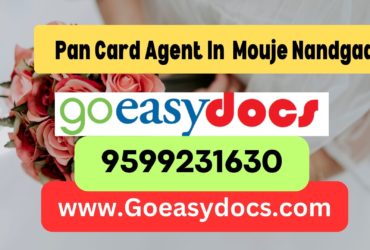 Pan Card Agent Consultant in Mouje Nandgad 8851415812