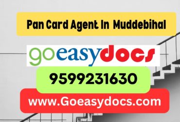 Pan Card Agent Consultant in Muddebihal 8851415812