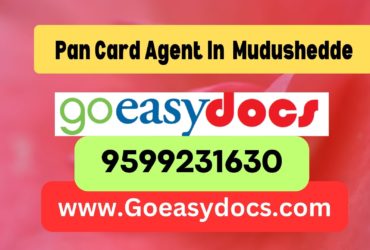 Pan Card Agent Consultant in Mudushedde 8851415812