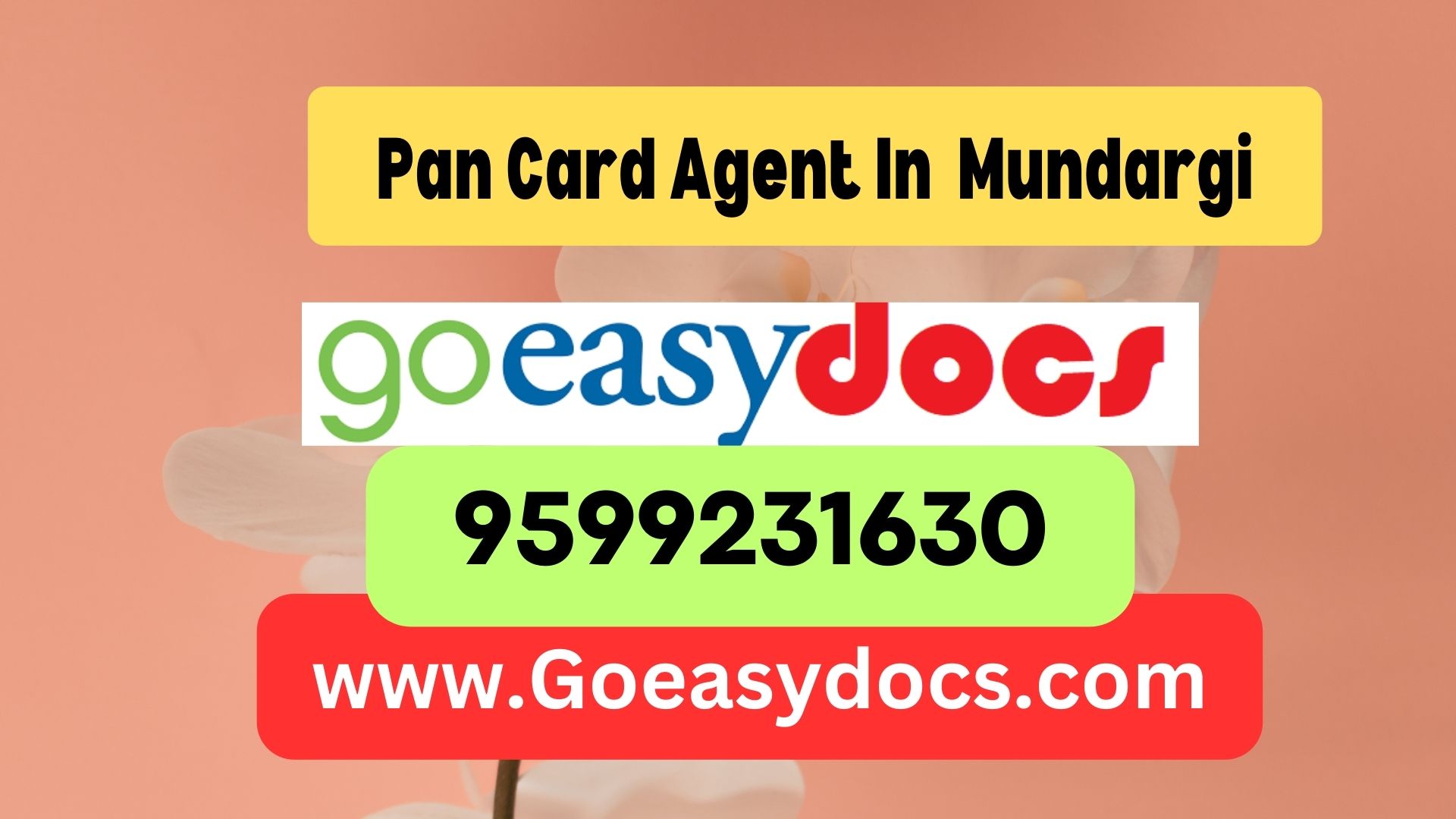 Pan Card Agent Consultant in Mundargi 8851415812