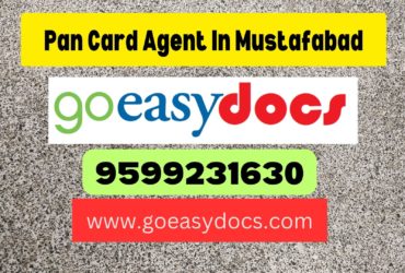 Pan Card Agent Consultant in Mustafabad 8851415812