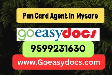 Pan Card Agent Consultant in Mysore 8851415812