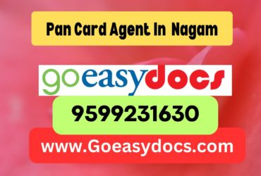 Pan Card Agent Consultant in Nagam 8851415812