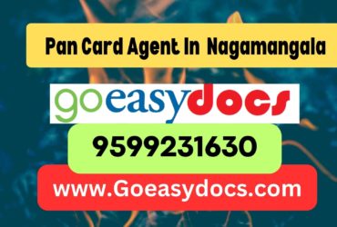 Pan Card Agent Consultant in Nagamangala 8851415812