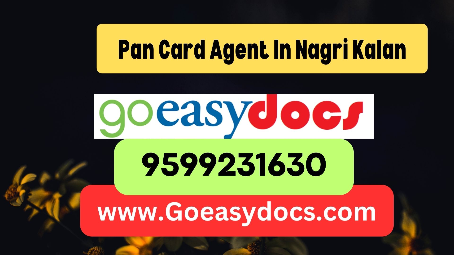 Pan Card Agent Consultant in Nagri Kalan 8851415812