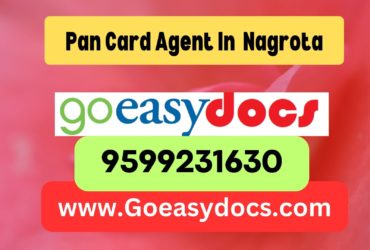 Pan Card Agent Consultant in Nagrota 8851415812