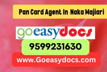 Pan Card Agent Consultant in Naka Majiari 8851415812