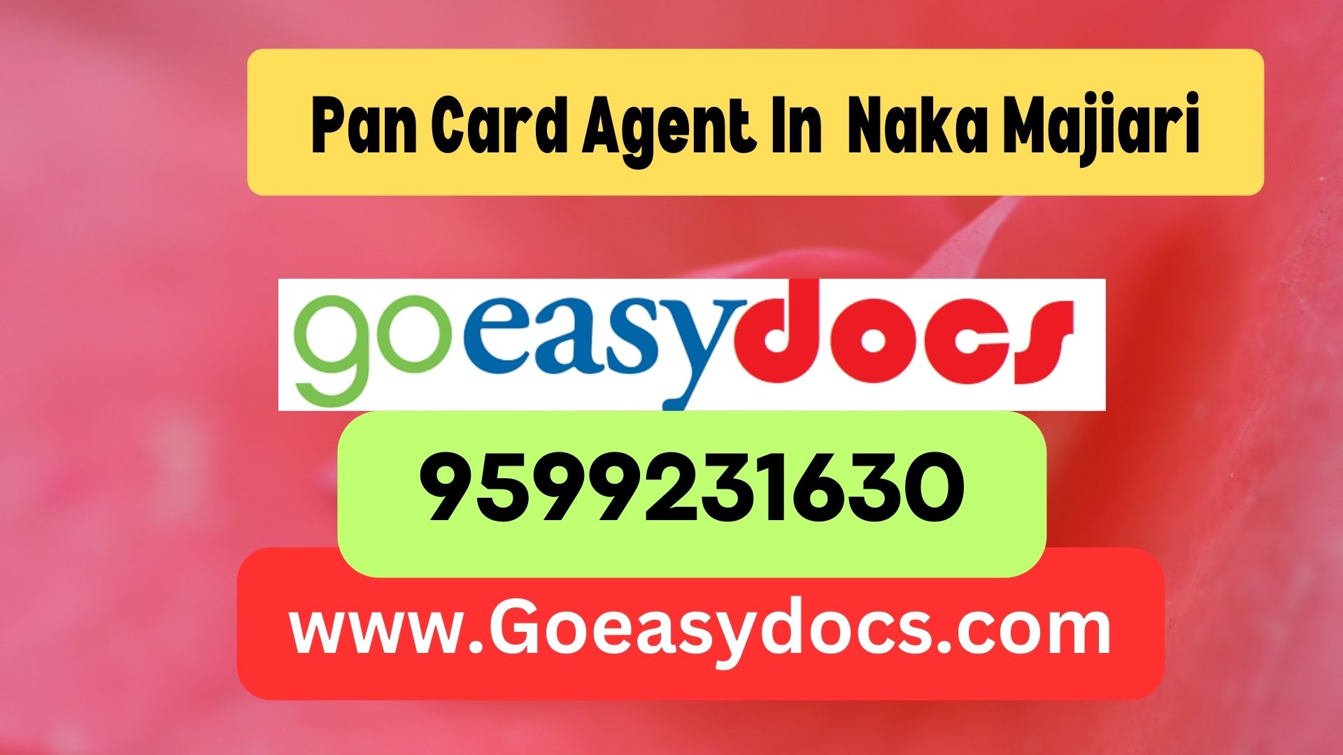 Pan Card Agent Consultant in Naka Majiari 8851415812