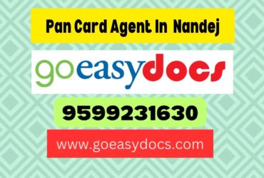 Pan Card Agent Consultant in Nandej 8851415812