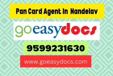 Pan Card Agent Consultant in Nandelav 8851415812