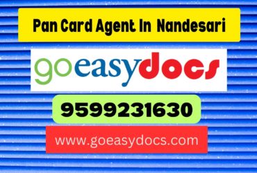 Pan Card Agent Consultant in Nandesari 8851415812