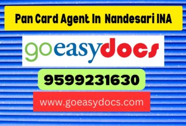 Pan Card Agent Consultant in Nandesari INA 8851415812