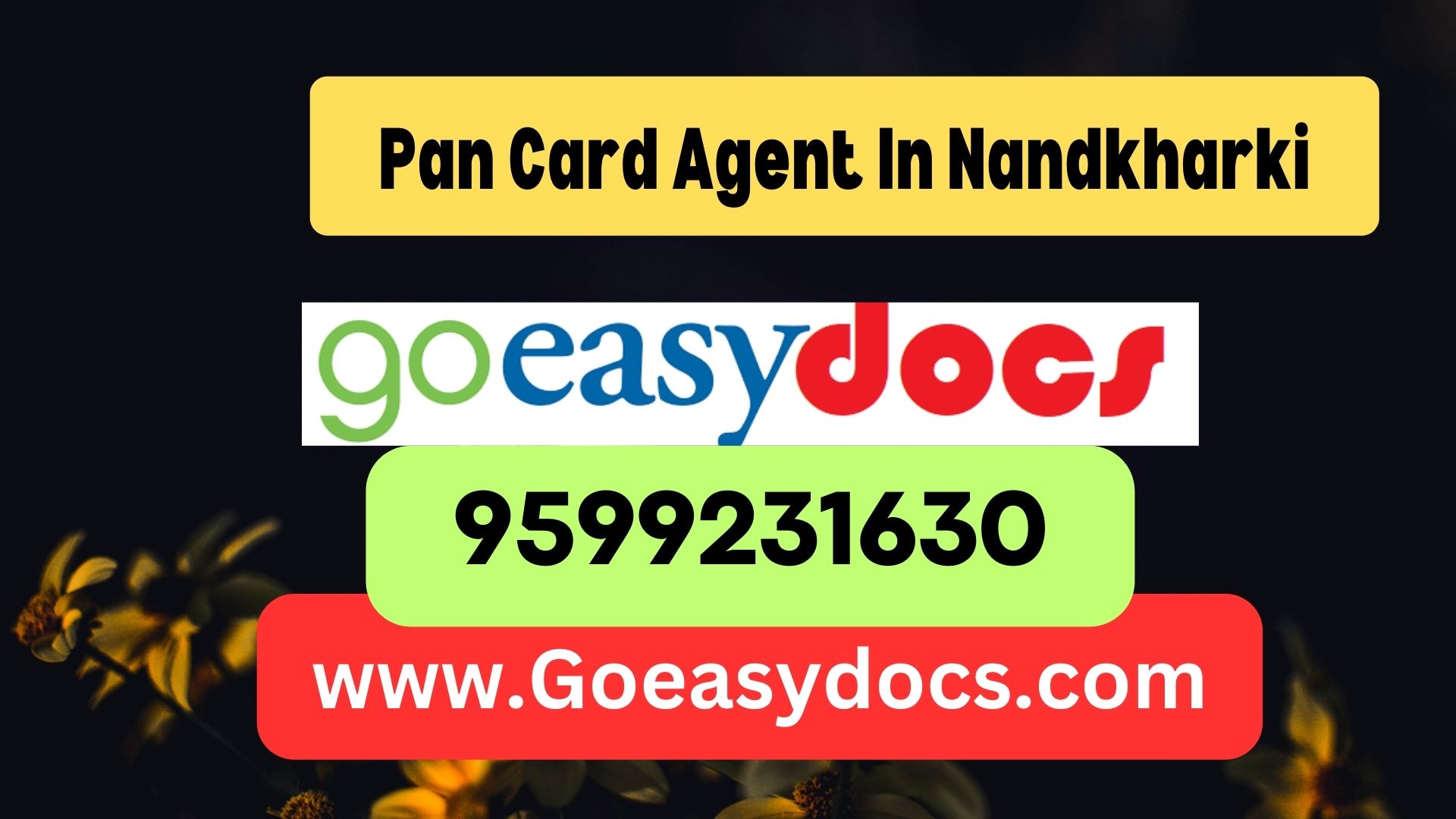 Pan Card Agent Consultant in Nandkharki 8851415812