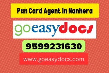 Pan Card Agent Consultant in Nanhera 8851415812