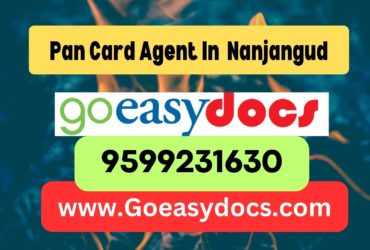 Pan Card Agent Consultant in Nanjangud 8851415812