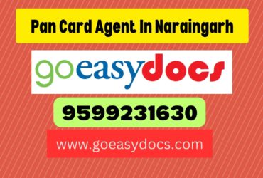 Pan Card Agent Consultant in Naraingarh 8851415812