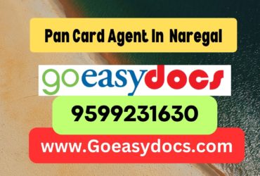 Pan Card Agent Consultant in Naregal 8851415812