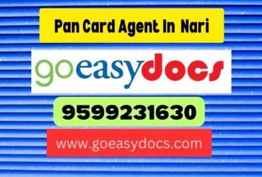 Pan Card Agent Consultant in Nari 8851415812