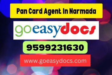 Pan Card Agent Consultant in Narmada 8851415812