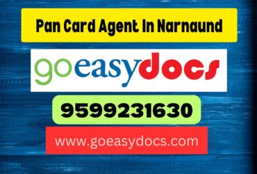 Pan Card Agent Consultant in Narnaund 8851415812