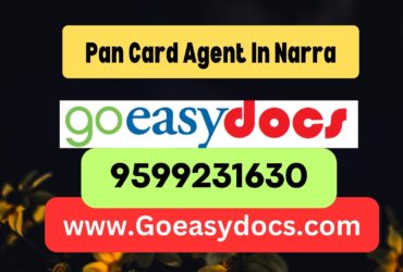 Pan Card Agent Consultant in Narra 8851415812