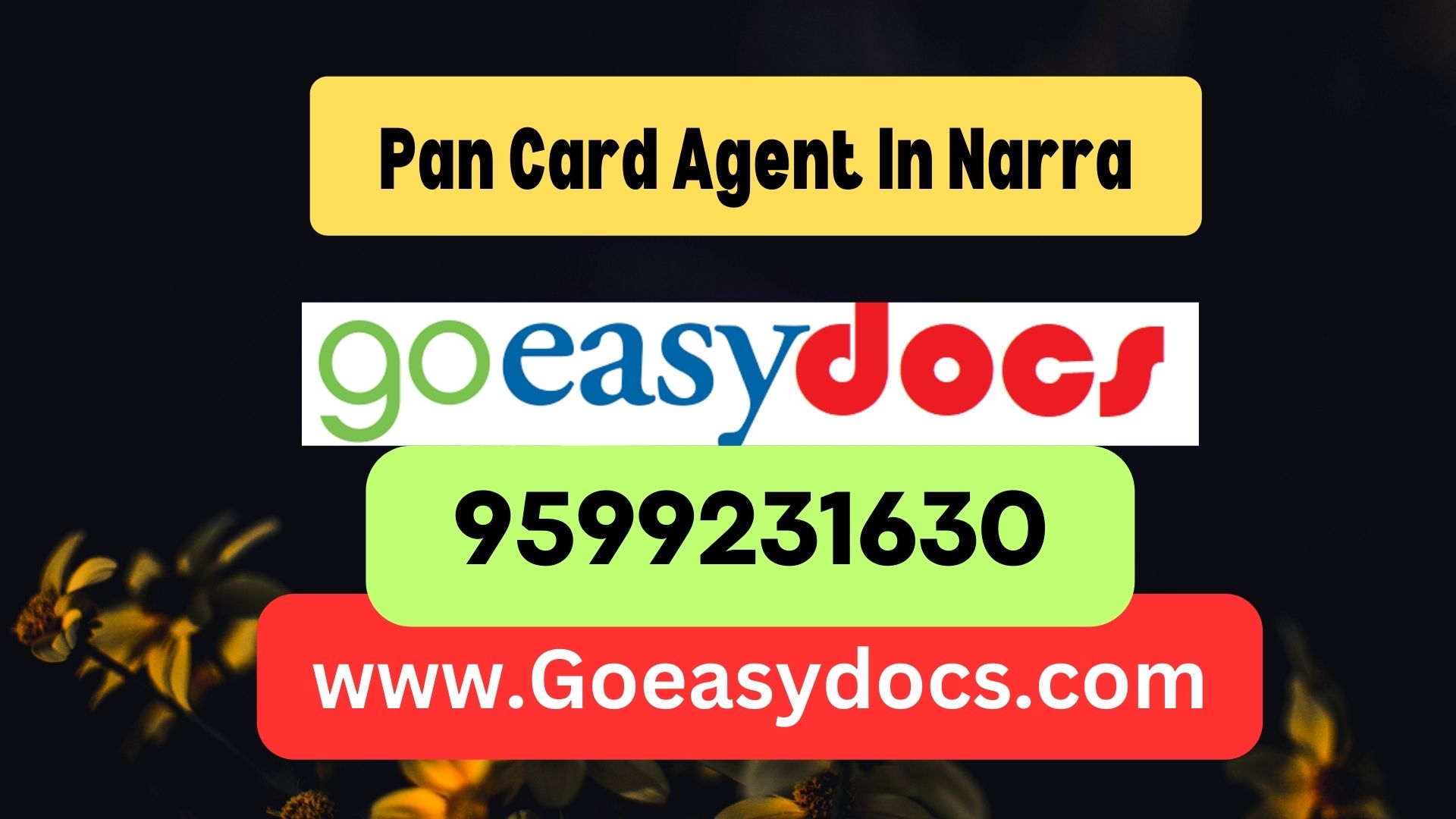 Pan Card Agent Consultant in Narra 8851415812