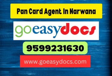 Pan Card Agent Consultant in Narwana 8851415812