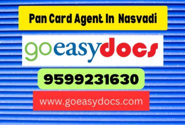 Pan Card Agent Consultant in Nasvadi 8851415812