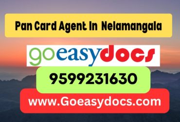 h1>Pan Card Agent Consultant in Nelamangala 8851415812